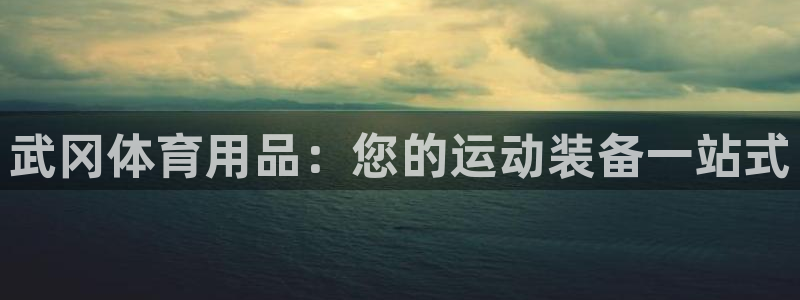欧陆娱乐平台登陆地址在哪里：武冈体育用品：您的运动装