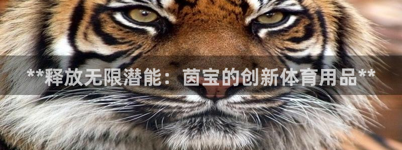 欧陆娱乐能不能玩：**释放无限潜能：茵宝的创新体育用
