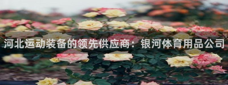 欧陆娱乐中国：河北运动装备的领先供应商：银河体育用品