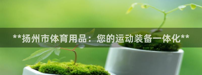 欧陆娱乐登陆官网入口：**扬州市体育用品：您的运动装