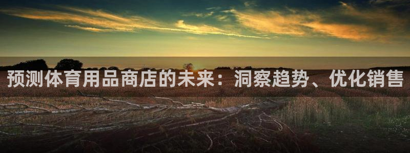 欧陆娱乐欢迎访问：预测体育用品商店的未来：洞察趋势、
