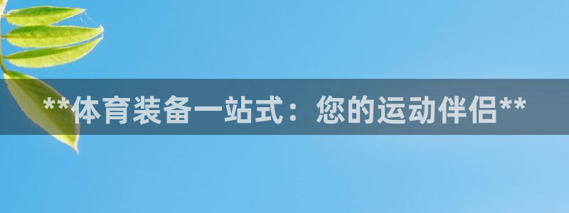 欧陆娱乐公司产品介绍图片：**体育装备一站式：您的运