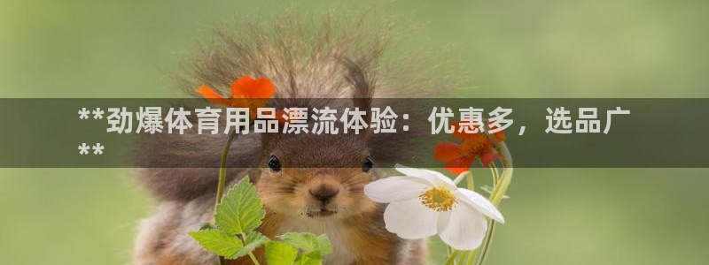 欧陆娱乐提现多久到账：**劲爆体育用品漂流体验：优惠