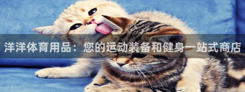 欧陆娱乐百科：洋洋体育用品：您的运动装备和健身一站式