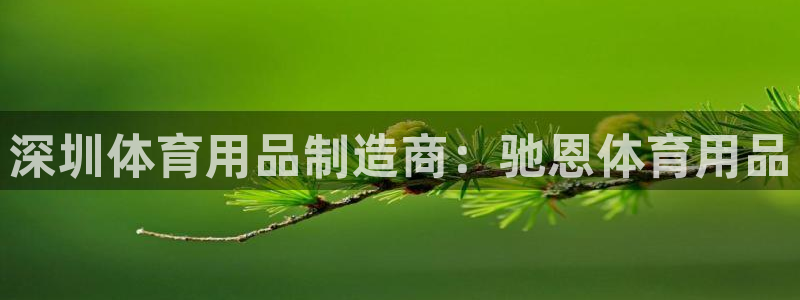欧陆娱乐挂机怎么玩的：深圳体育用品制造商：驰恩体育用