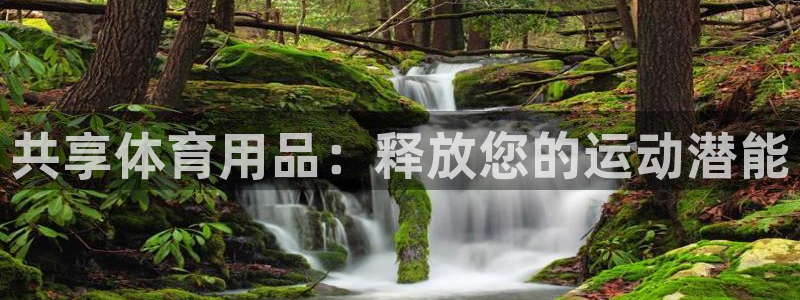 欧陆娱乐会员有什么用：共享体育用品：释放您的运动潜能