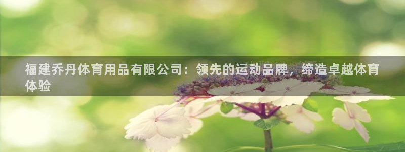 欧陆娱乐平台登录不上去：福建乔丹体育用品有限公司：领