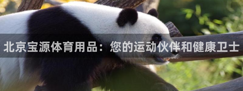 欧陆娱乐天富主管：北京宝源体育用品：您的运动伙伴和健