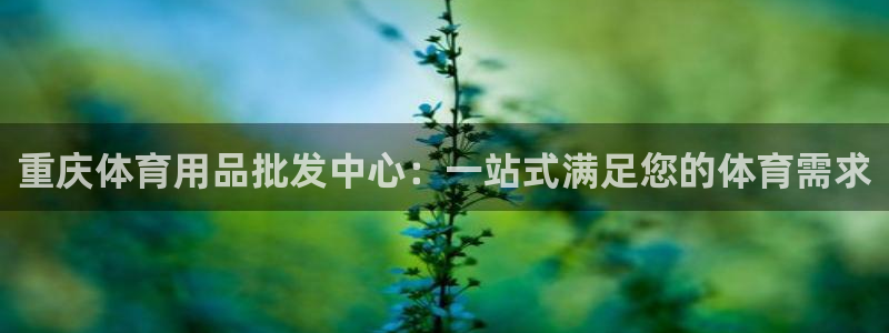 欧陆娱乐打什么方案赚钱：重庆体育用品批发中心：一站式
