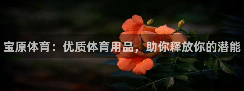 欧陆娱乐平台官网：宝原体育：优质体育用品，助你释放你