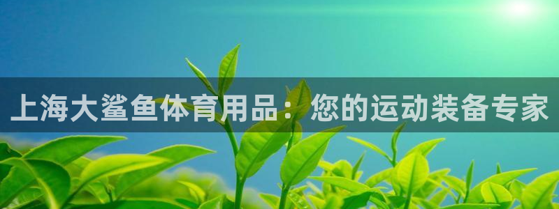 欧陆娱乐天富主管：上海大鲨鱼体育用品：您的运动装备专