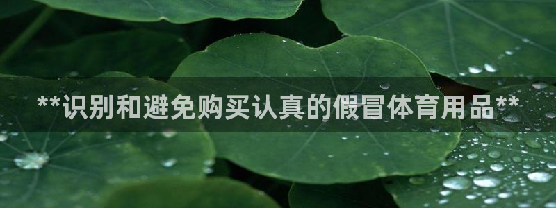 欧陆娱乐平台咋样：**识别和避免购买认真的假冒体育用