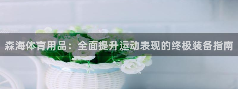 欧陆娱乐计划app官方正版安装下载苹果：森海体育用品