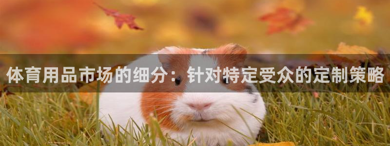 欧陆娱乐客服服务电话：体育用品市场的细分：针对特定受