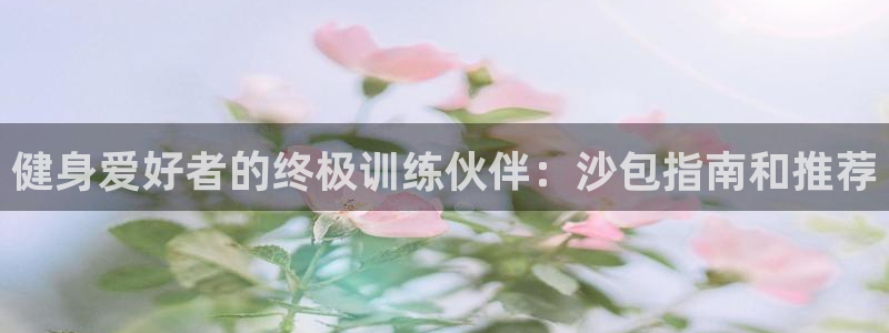 欧陆娱乐测试官网：健身爱好者的终极训练伙伴：沙包指南