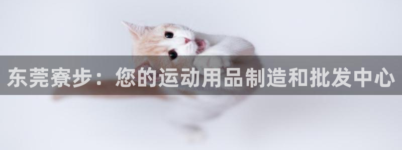 欧陆娱乐官网下载安装：东莞寮步：您的运动用品制造和批