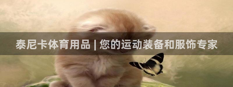 欧陆娱乐打什么方案赚钱：泰尼卡体育用品 | 您的运动