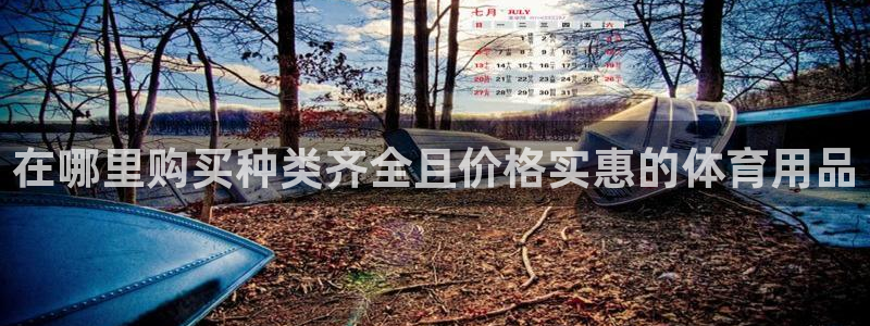 欧陆娱乐脚本怎么下载：在哪里购买种类齐全且价格实惠的