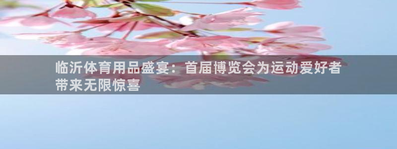 欧陆娱乐客服服务：临沂体育用品盛宴：首届博览会为运动