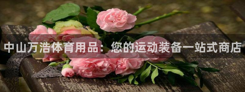欧陆娱乐app攻略：中山万浩体育用品：您的运动装备一