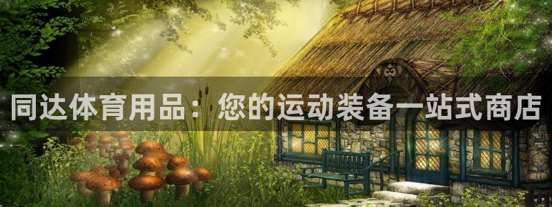 欧陆娱乐是那个旗下的品牌公司：同达体育用品：您的运动