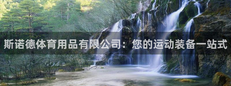 欧陆娱乐app下载：斯诺德体育用品有限公司：您的运动