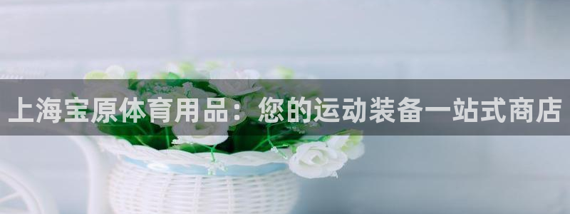 欧陆娱乐测速网站：上海宝原体育用品：您的运动装备一站