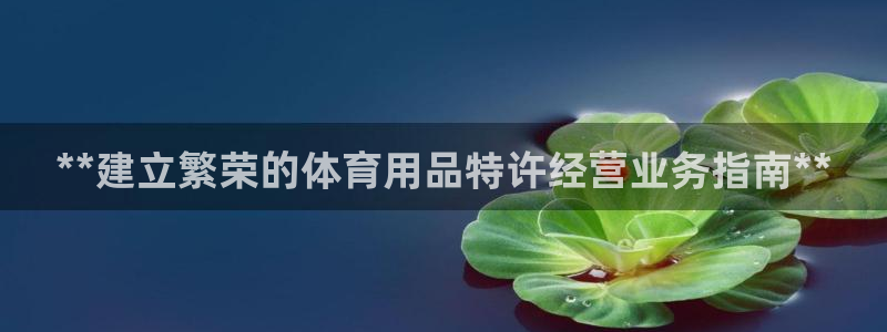 欧陆娱乐登录官网下载：**建立繁荣的体育用品特许经营