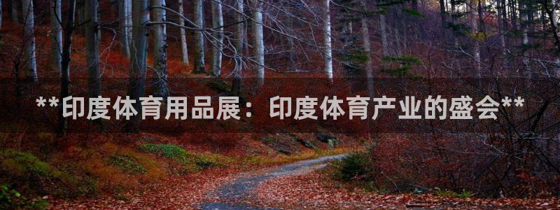 重庆欧陆娱乐有限公司地址：**印度体育用品展：印度体