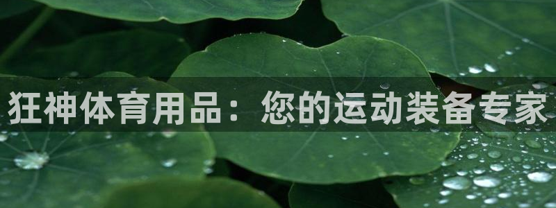 欧陆娱乐官网网址大全：狂神体育用品：您的运动装备专家