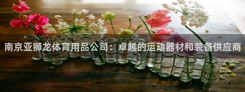欧陆娱乐登录测速软件：南京亚狮龙体育用品公司：卓越的