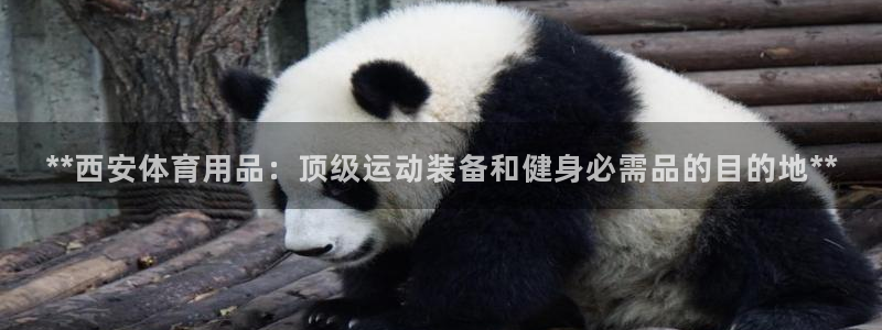 欧陆娱乐图片：**西安体育用品：顶级运动装备和健身必