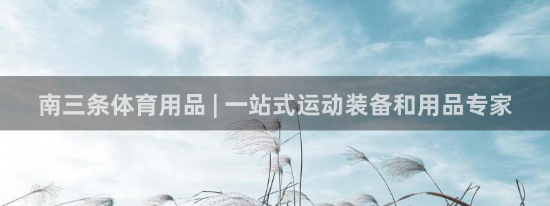 欧陆娱乐平台登录不上去：南三条体育用品 | 一站式运