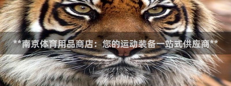 欧陆娱乐累计盈利多少就会被劝退呢：**南京体育用品商