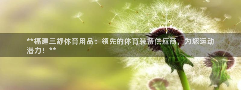 欧陆娱乐游戏特色：**福建三舒体育用品：领先的体育装