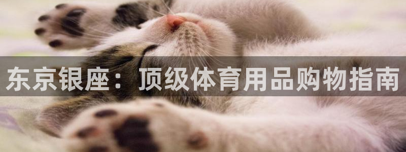 欧陆娱乐代理多少个点位：东京银座：顶级体育用品购物指