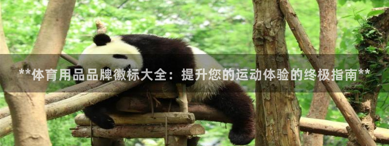 欧陆娱乐总代：**体育用品品牌徽标大全：提升您的运动