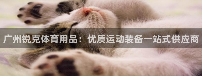 欧陆娱乐脚本怎么下载：广州锐克体育用品：优质运动装备