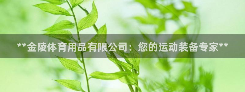 欧陆娱乐app攻略下载：**金陵体育用品有限公司：您