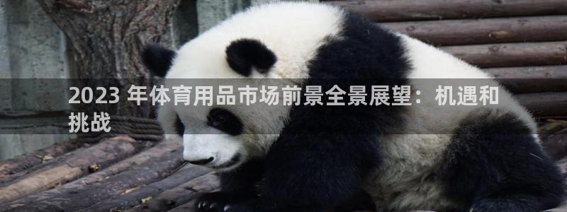 欧陆娱乐是那个旗下的品牌：2023 年体育用品市场前