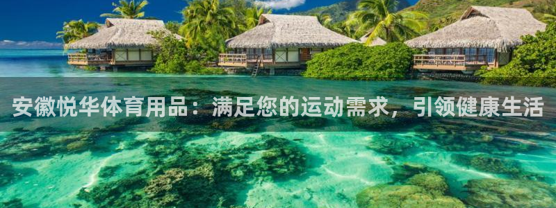 欧陆娱乐官网入口：安徽悦华体育用品：满足您的运动需求