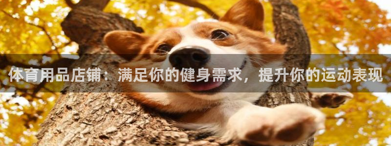 欧陆娱乐平台登录：体育用品店铺：满足你的健身需求，提