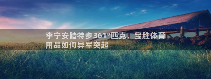 欧陆娱乐挂机项目怎么设置：李宁安踏特步361°匹克，