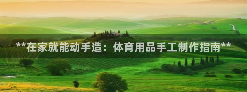 欧陆娱乐注册代理多少钱一年：**在家就能动手造：体育