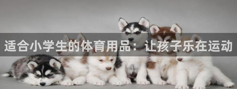 欧陆娱乐是正规平台吗安全吗可信吗知乎：适合小学生的体