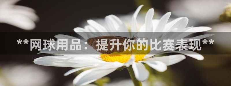 欧陆娱乐官网：**网球用品：提升你的比赛表现**