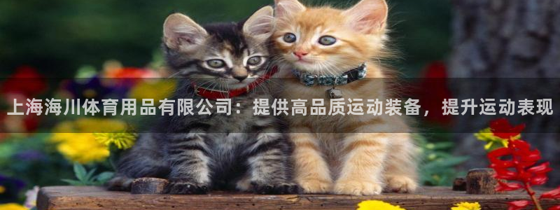 欧陆娱乐怎么注册会员的：上海海川体育用品有限公司：提
