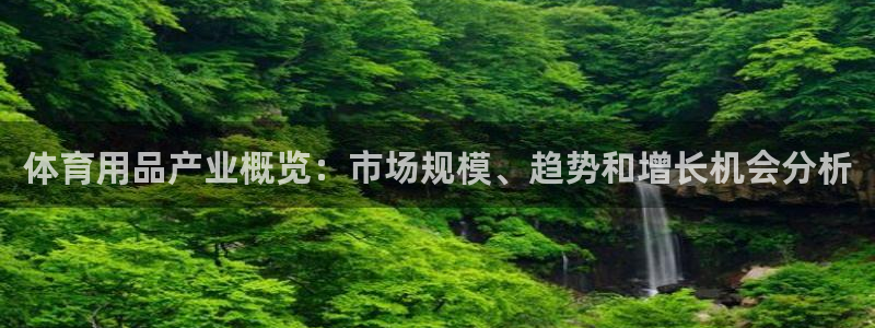 欧陆娱乐官网下载安装最新版本：体育用品产业概览：市场