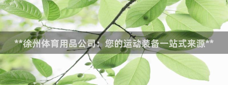 欧陆娱乐测试网站：**徐州体育用品公司：您的运动装备