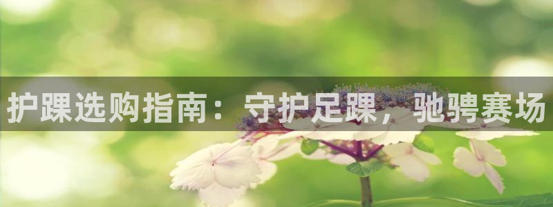 欧陆娱乐不让提现：护踝选购指南：守护足踝，驰骋赛场